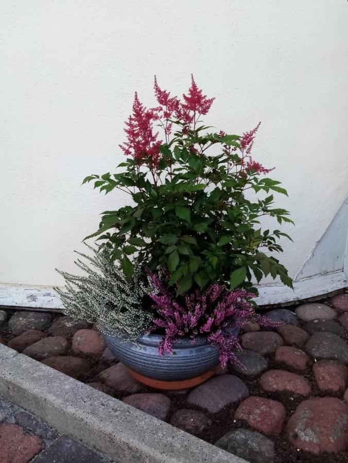 ファールン Birgittagarden - Gaesthem - Birgittasystrarna Bed & Breakfast エクステリア 写真